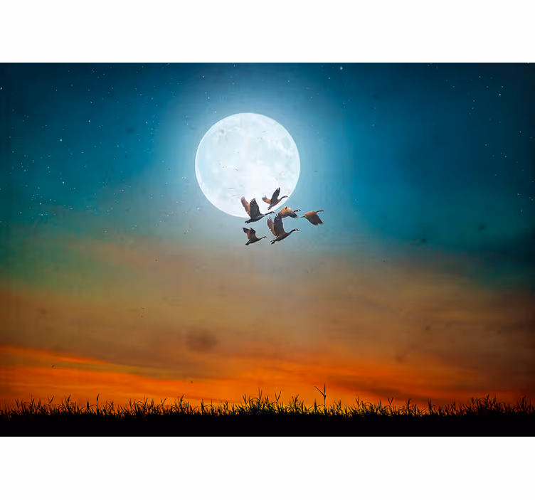 Nature wall mural moonlit sky flock - TenStickers