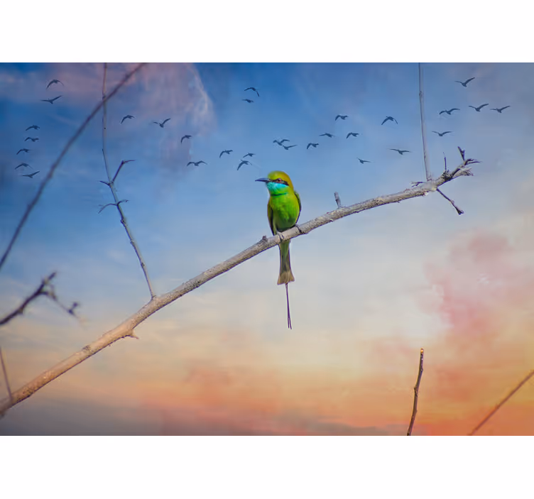 Animal wall mural bird on branch - TenStickers