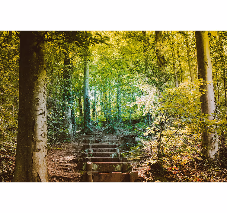 Path with stairs Forest Wall Mural - TenStickers