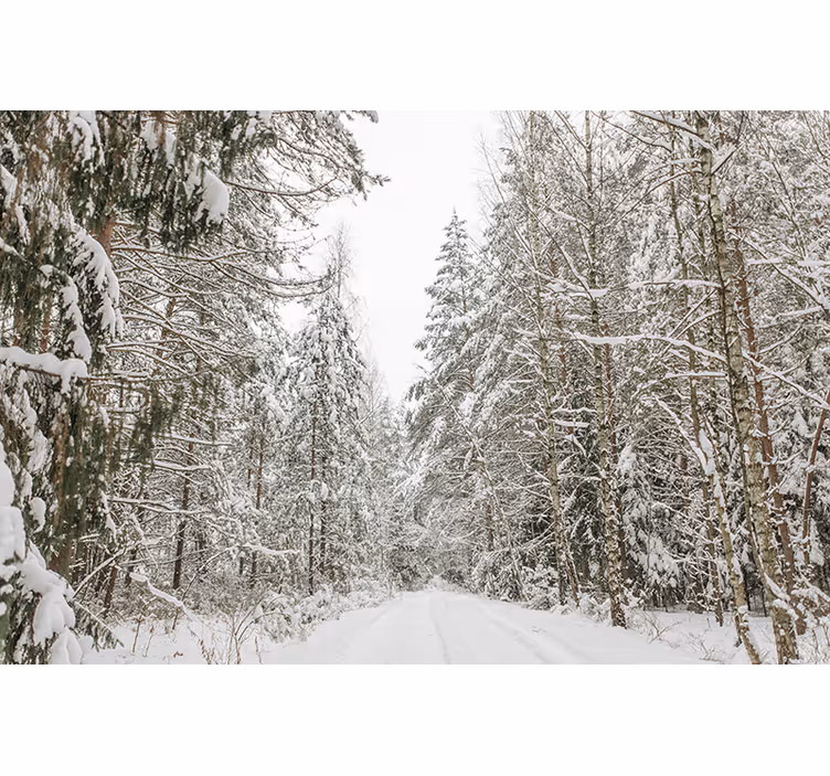 Winter Woodland Trees Wall Mural - TenStickers
