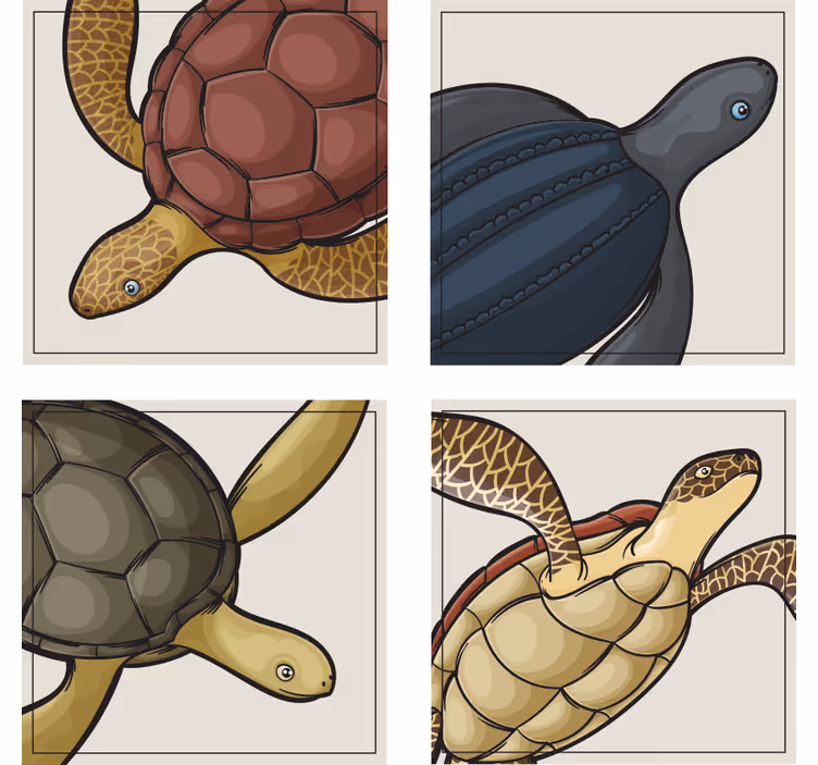 Turtles Animal Tile Coaster Set - TenStickers