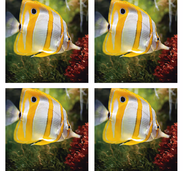 Beautiful white and yellow fish coaster - TenStickers