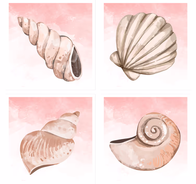 seashells watercolor shell coaster - TenStickers