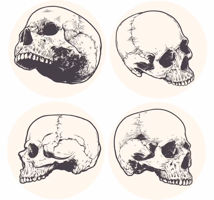 Skull drawing halloween coaster - TenStickers
