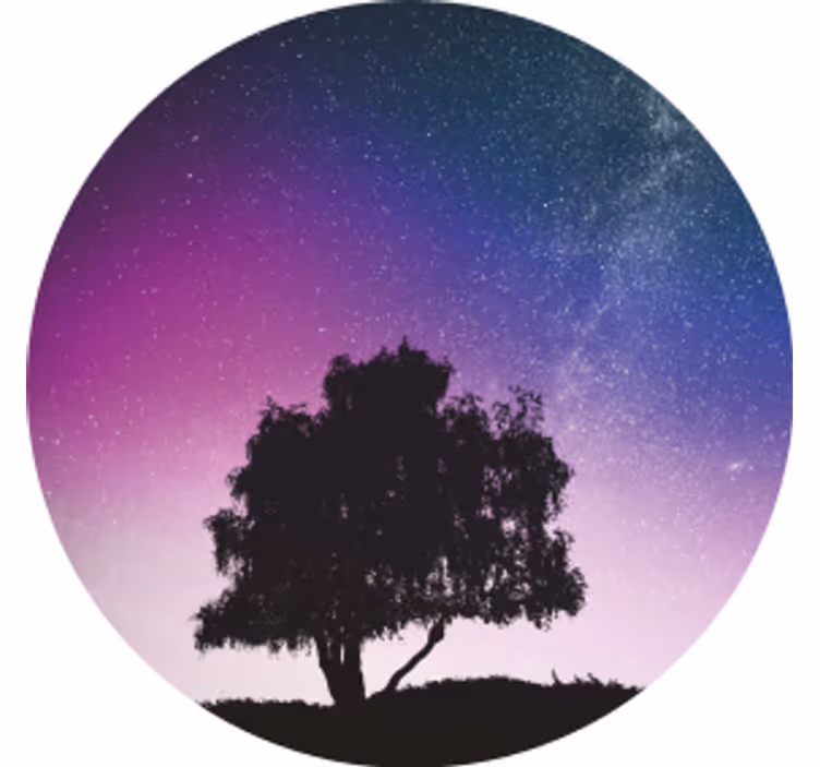 Lonely tree and meteor modern coaster - TenStickers