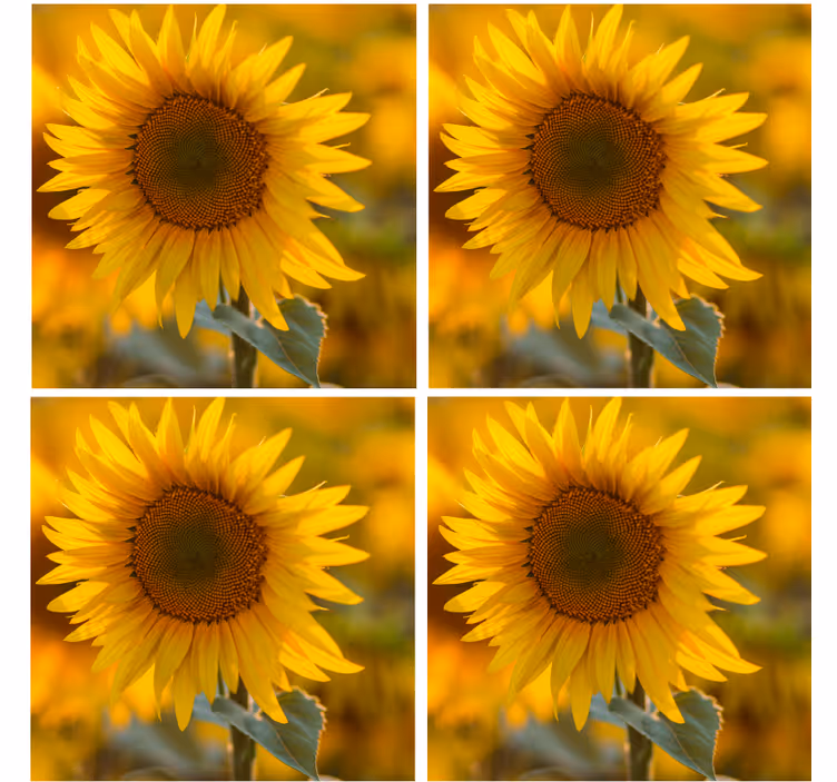 Modern coasters with bright sunflower design - TenStickers