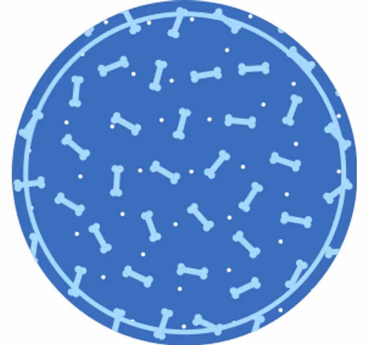 Bone pattern circle coasters - TenStickers