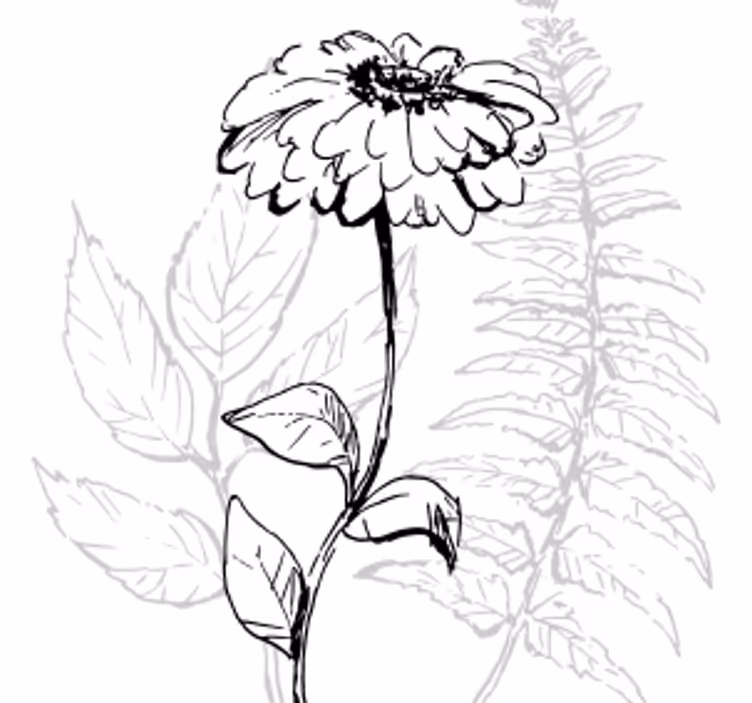 Coasters botanical line art design - TenStickers
