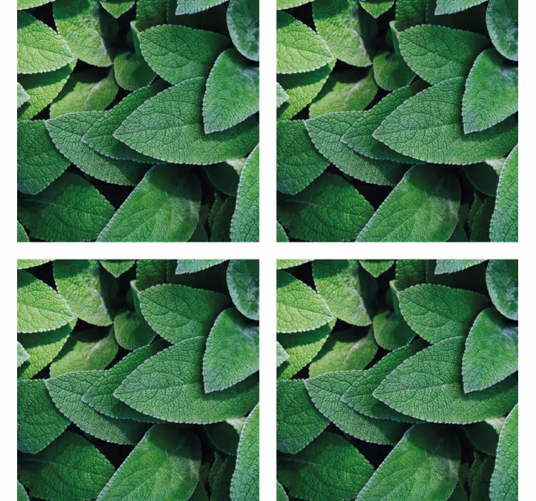 Coasters with lively green leaf design - TenStickers