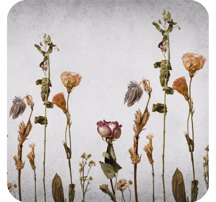 Coasters dried floral arrangement coasters - TenStickers
