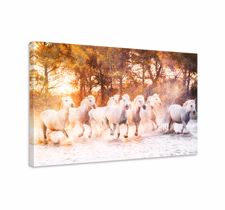 Horse wall art wild horses at sunset - TenStickers