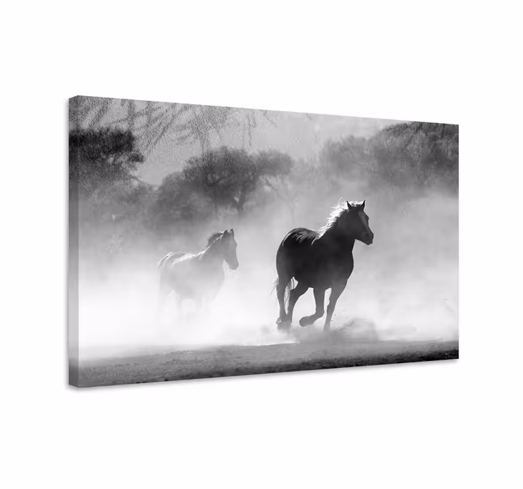 Horse wall art white and black horse print - TenStickers