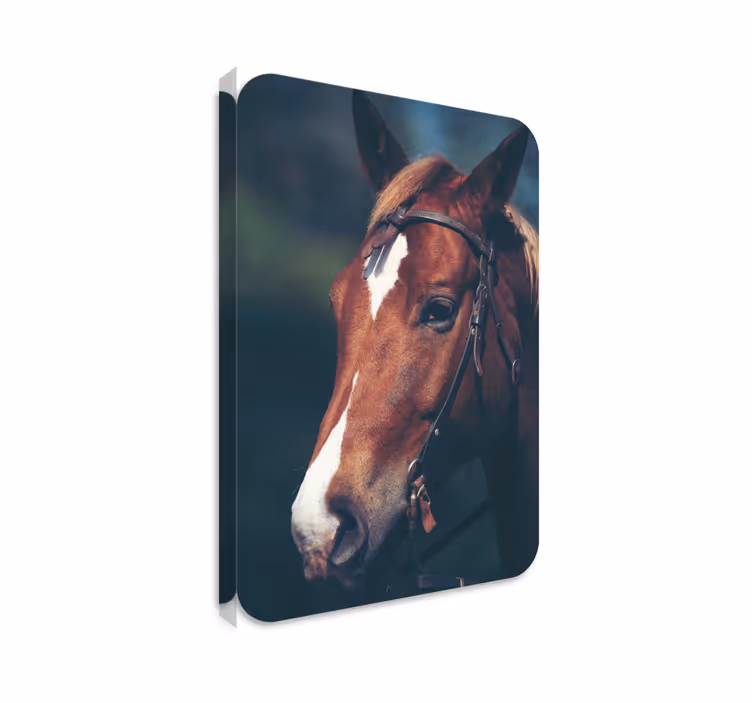 Horse wall art horse head décor - TenStickers