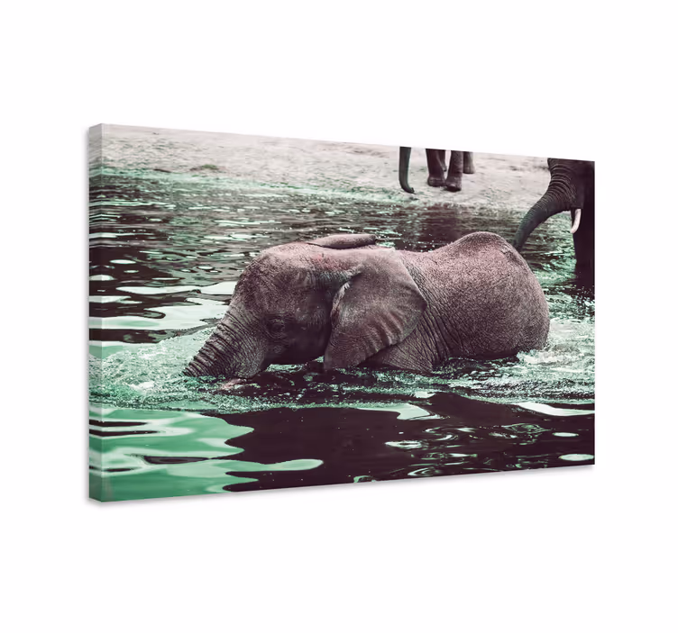 Drinking baby elephants elephant wallart - TenStickers