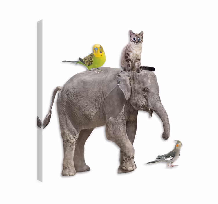 Elephant wallart with various animals - TenStickers
