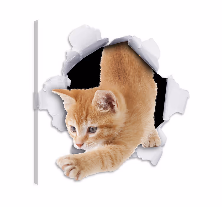 Cat wall art 3d illusion cat vinyl decor - TenStickers
