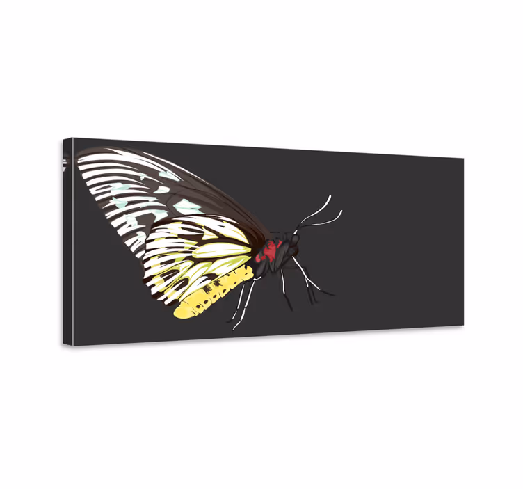Butterfly canvas realistic detailed yellow butterfly - TenStickers
