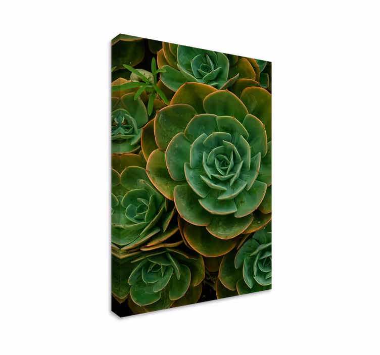 Cactus design flower canvas print - TenStickers