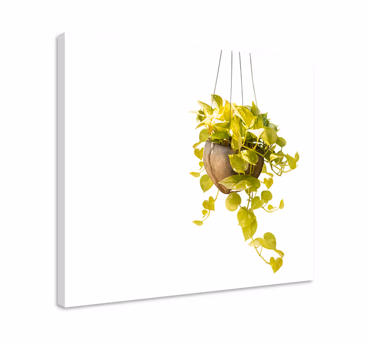 Flowers canvas hanging greenery arrangement - TenStickers