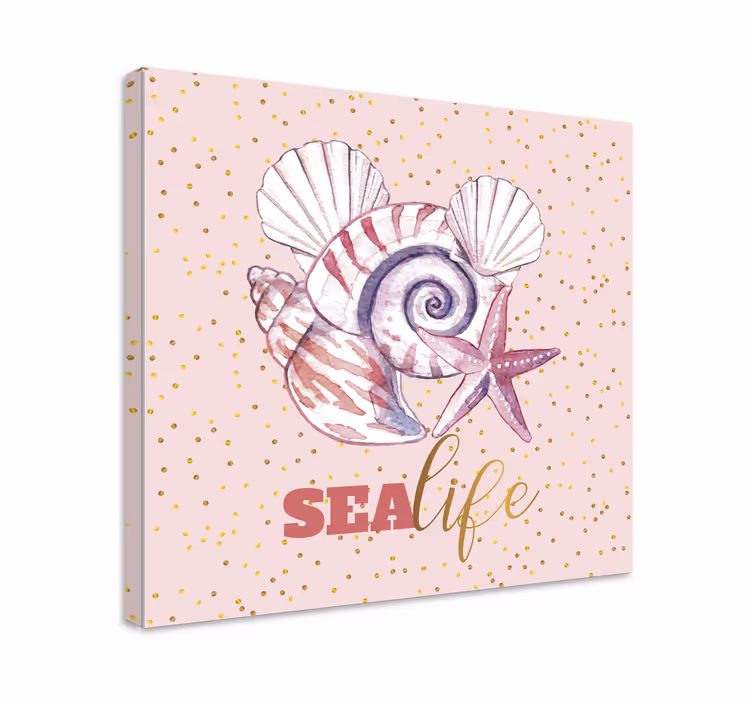 Nautical canvas art seashell and starfish - TenStickers