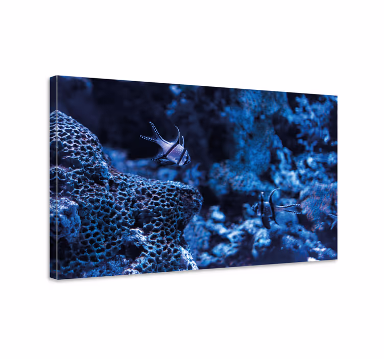 Nautical canvas art coral reef fish - TenStickers