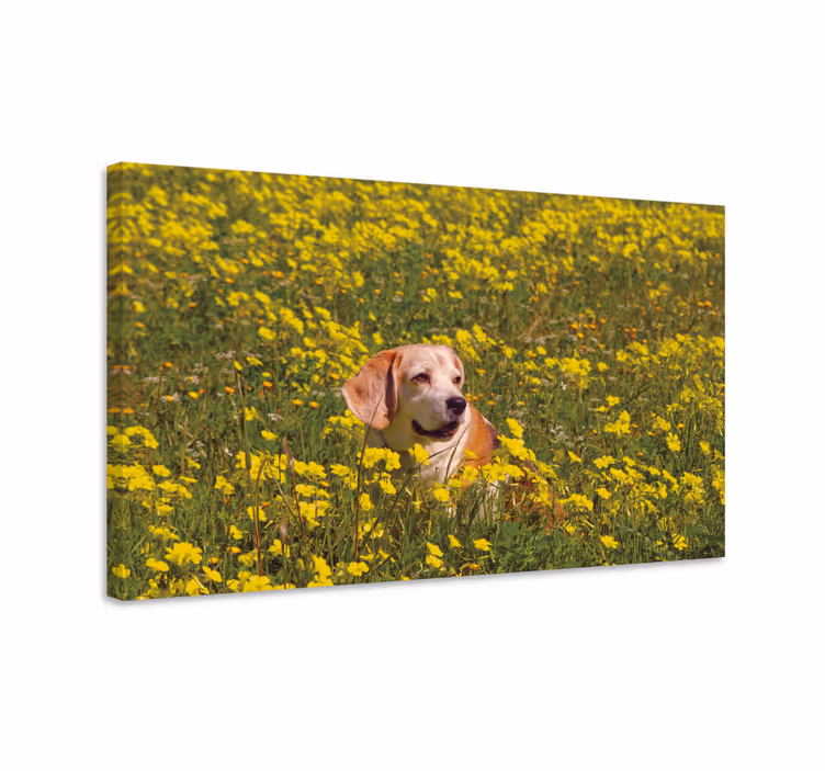 Dog wall art happy dog in nature - TenStickers