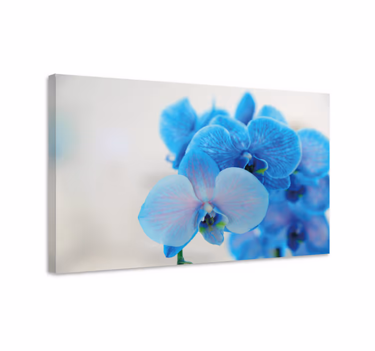 Flowers canvas blue orchid blooms - TenStickers