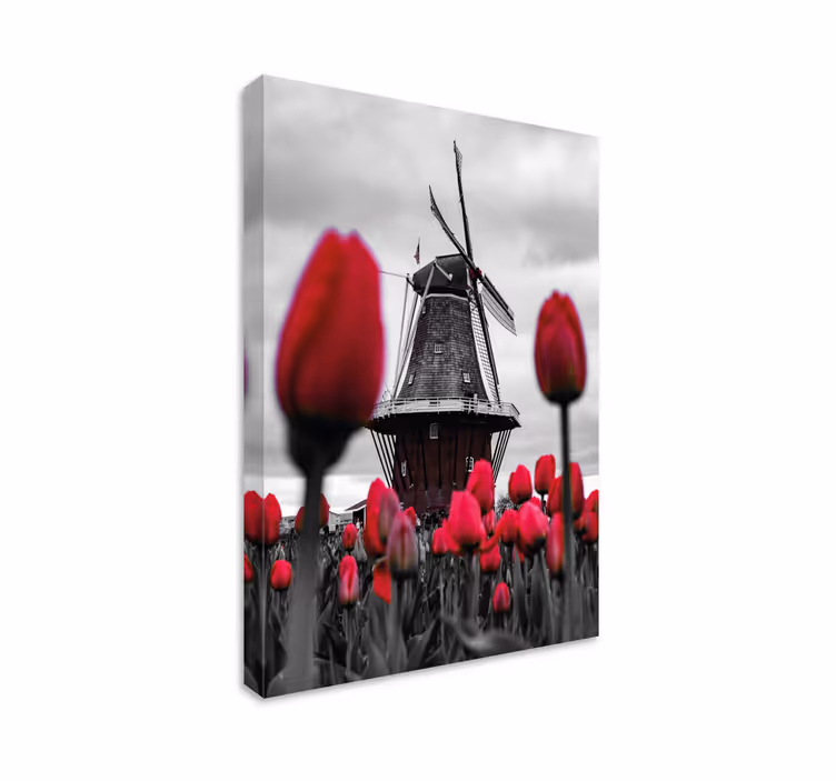 Landscape canvas windmill and tulips - TenStickers