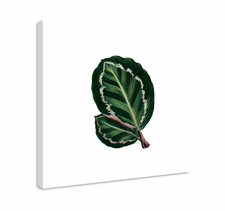 Flowers canvas large leaf pattern - TenStickers