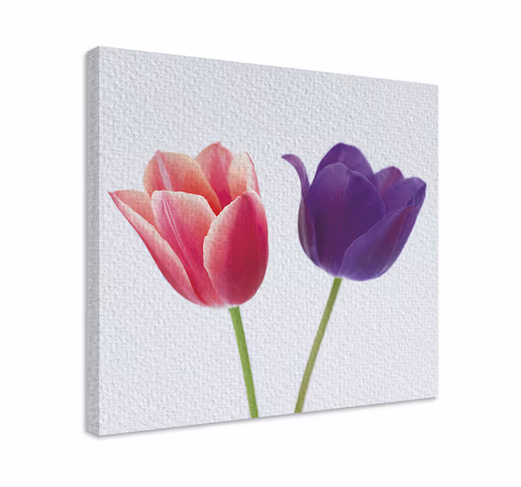 Purple and pink tulips flower canvas - TenStickers