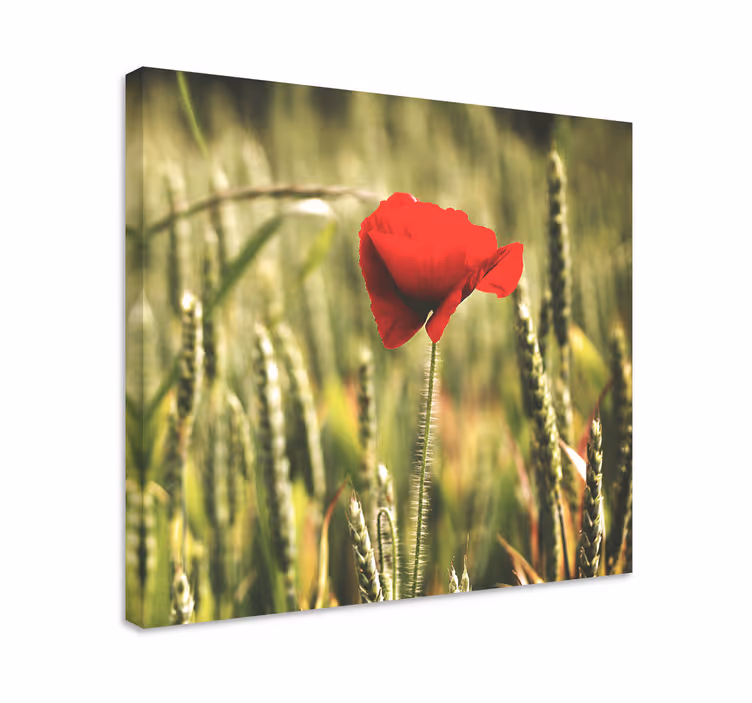 Flowers canvas red flower bloom - TenStickers