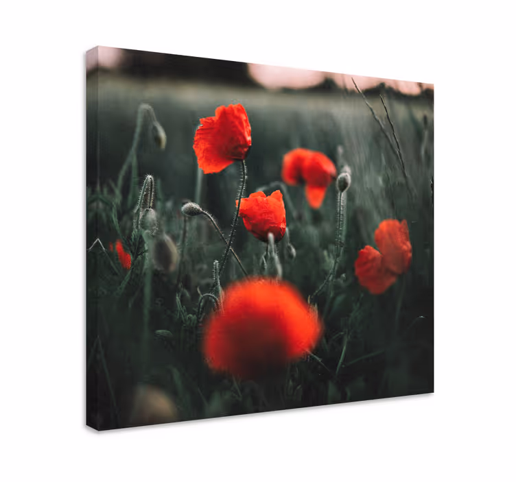 Flowers canvas vivid poppy blooms - TenStickers