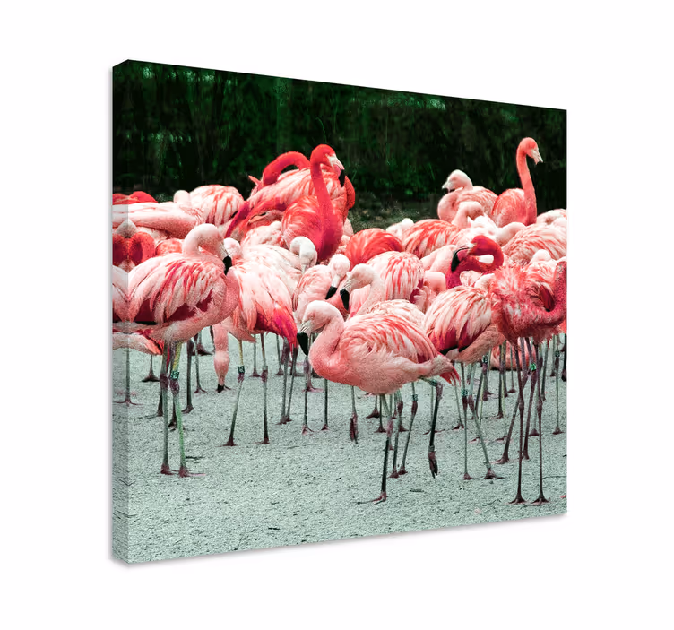 Bird canvas wall art flamingo flock print - TenStickers
