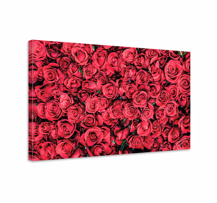 Flowers canvas rose petal display - TenStickers