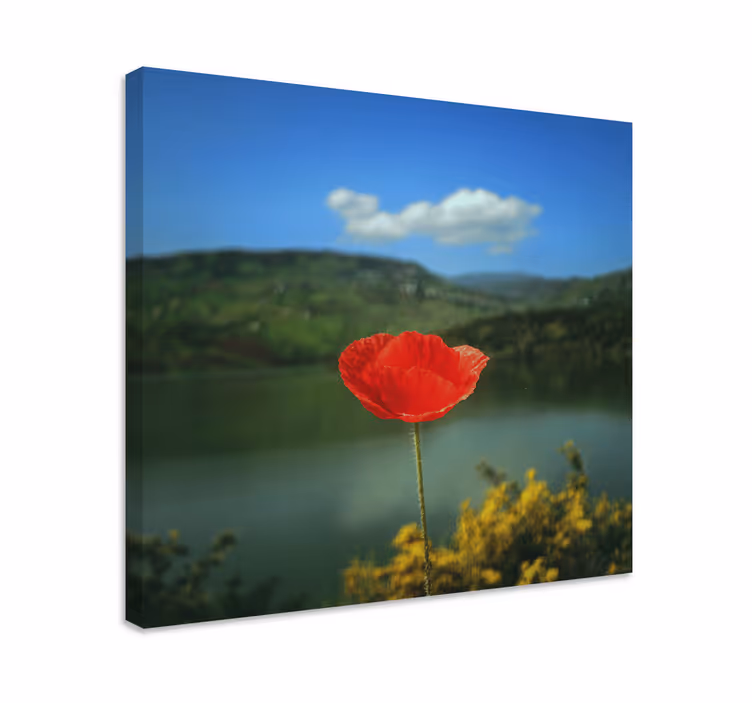 Flowers canvas red poppy blossom art print - TenStickers