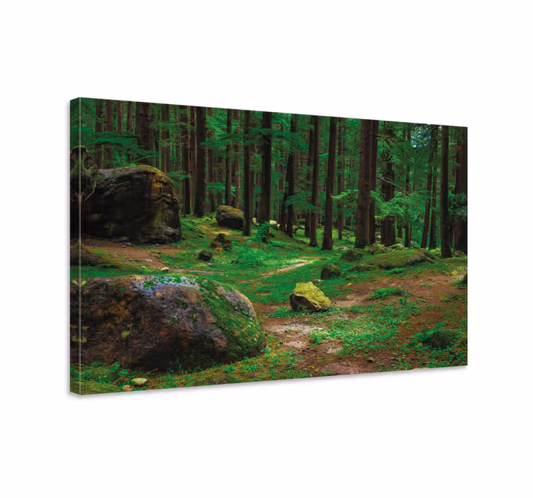 Lush Forest Path tree canvas wall art - TenStickers