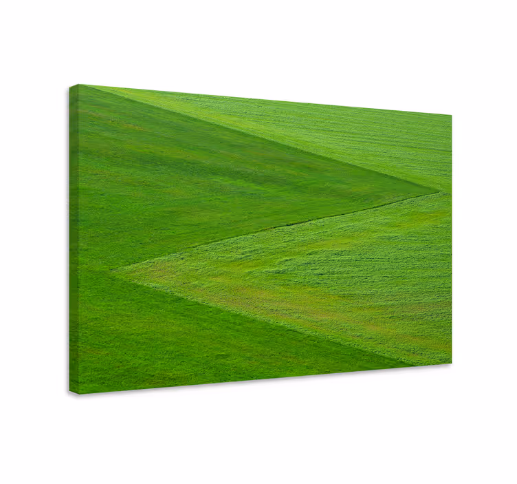 Landscape canvas of lush green terrain - TenStickers