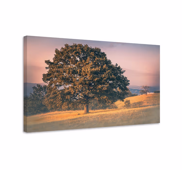 Old tree cottagecore style landscape canvas - TenStickers