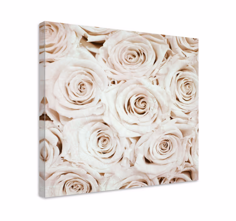Flowers canvas gentle rose blossom - TenStickers