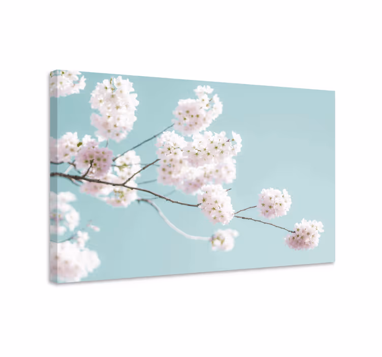 Flowers canvas sakura bloom stem - TenStickers