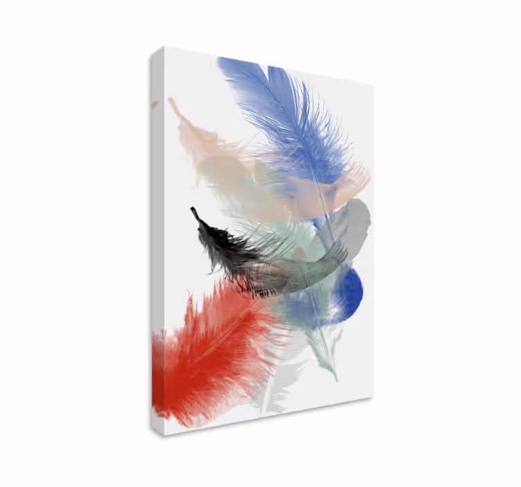 Feather canvas wall art colorful feather display - TenStickers