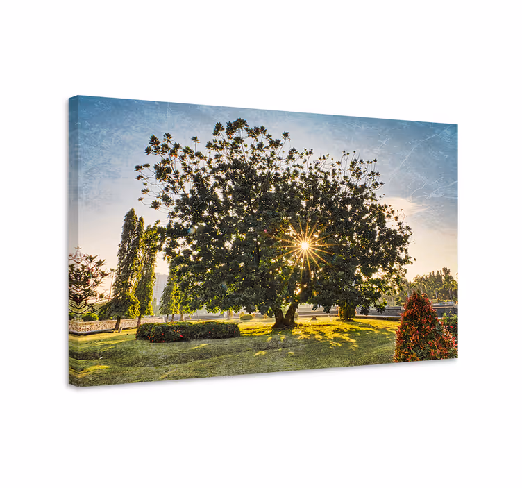 Sunny summer green park landscape canvas - TenStickers