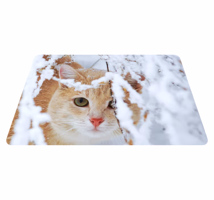 Animal vinyl rug cat under stalactites - TenStickers