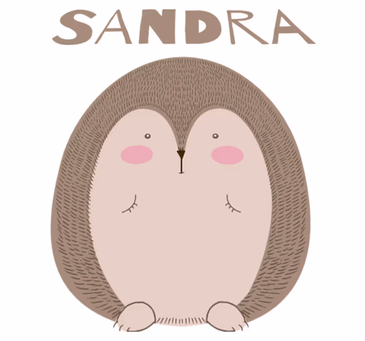 Cute hedgehog character animal vinyl rug - TenStickers