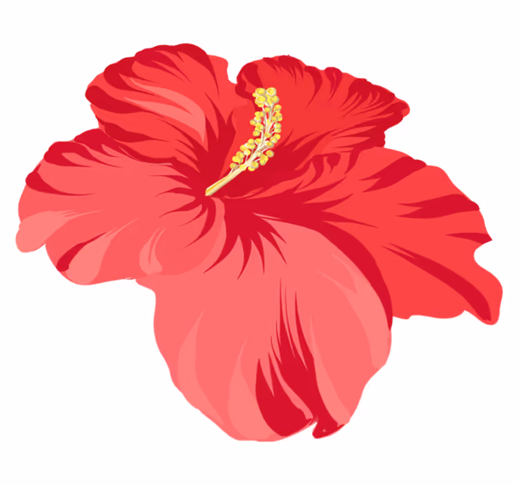 Flower vinyl rug red hibiscus flower design - TenStickers