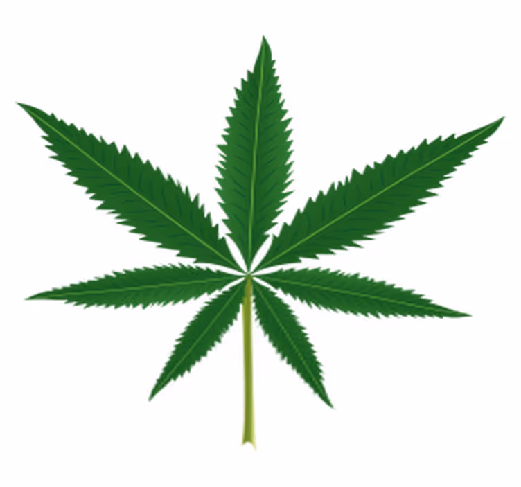 Flower vinyl rug with marijuana leaf design - TenStickers