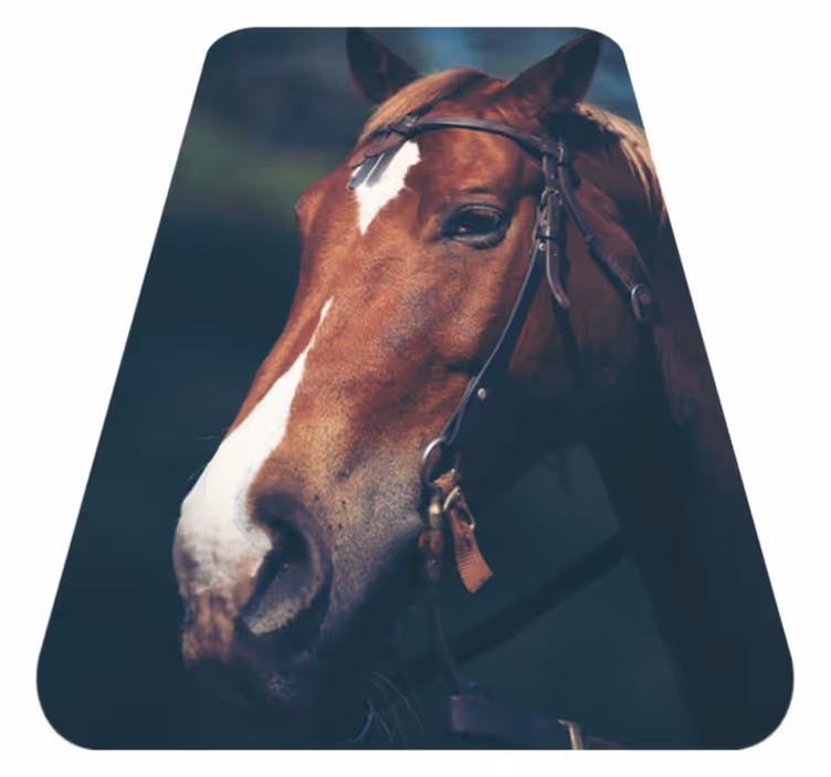 Majestic horse head animal vinyl rug - TenStickers