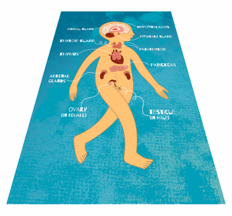 Classic operation game vintage rug - TenStickers