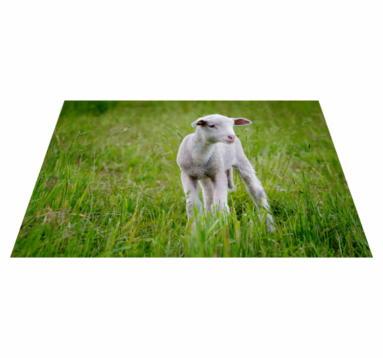 Animal cute lamb animal rug - TenStickers