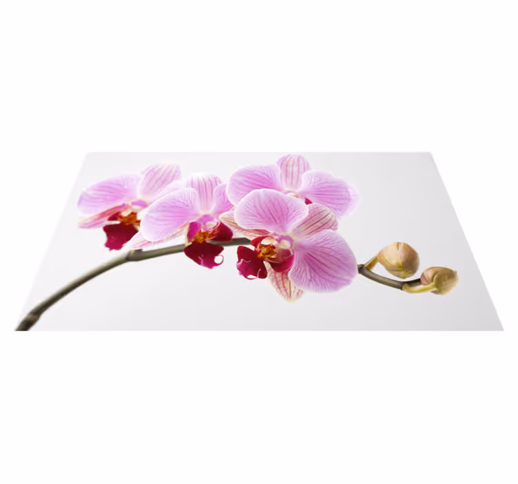 Pink orchid design flower vinyl rug - TenStickers